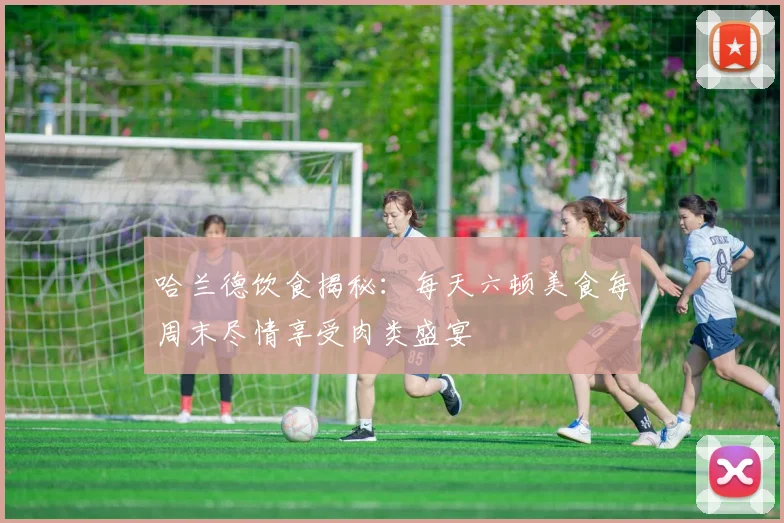 哈兰德饮食揭秘：每天六顿美食每周末尽情享受肉类盛宴