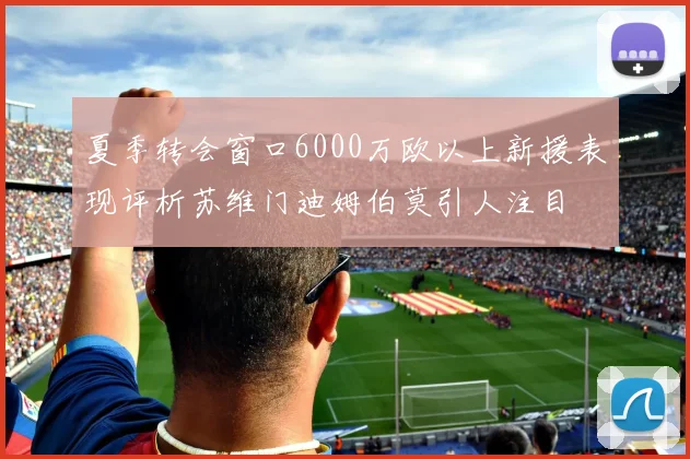 夏季转会窗口6000万欧以上新援表现评析苏维门迪姆伯莫引人注目