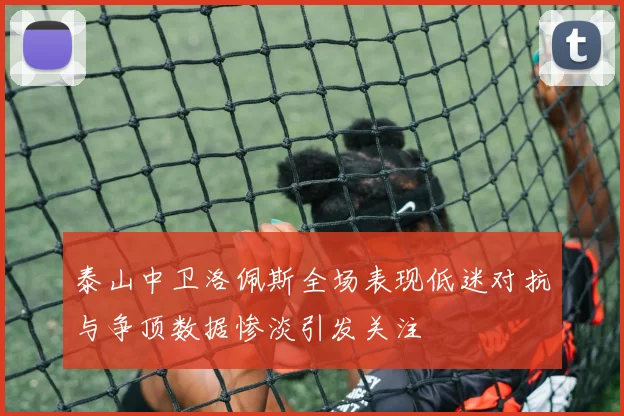 泰山中卫洛佩斯全场表现低迷对抗与争顶数据惨淡引发关注