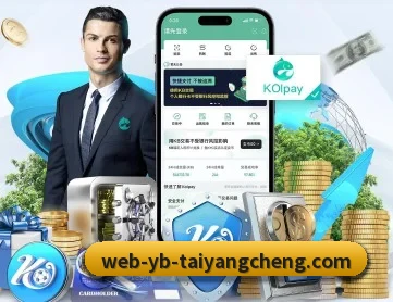 太阳城 APP 深度功能